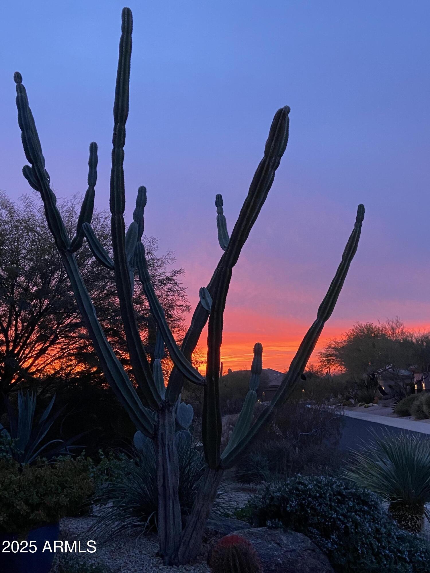 6867 East Crimson Sky Trail Scottsdale, AZ 85266 - Photo 53 of 97 a backyard of a house with lots of green space