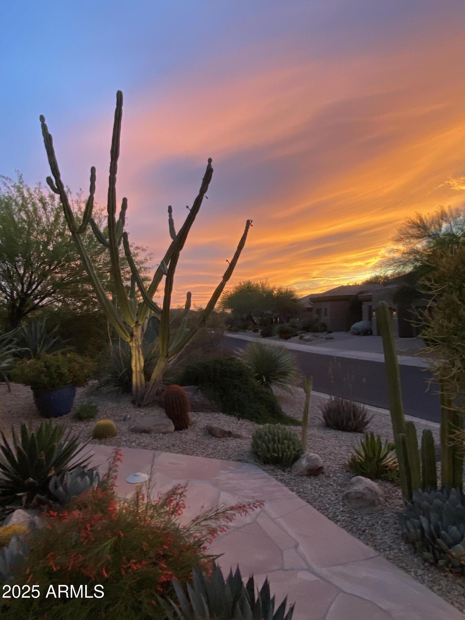 6867 East Crimson Sky Trail Scottsdale, AZ 85266 - Photo 54 of 97 a view of a terrace with a garden