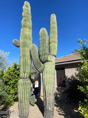 $7,000 | 6867 East Crimson Sky Trail, Scottsdale, AZ 85266