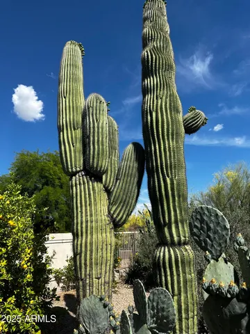 $7,000 | 6867 East Crimson Sky Trail, Scottsdale, AZ 85266