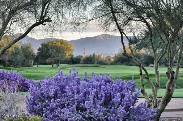6867 East Crimson Sky Trail Scottsdale, AZ 85266 - Photo 87 of 97 a view of a garden with large trees
