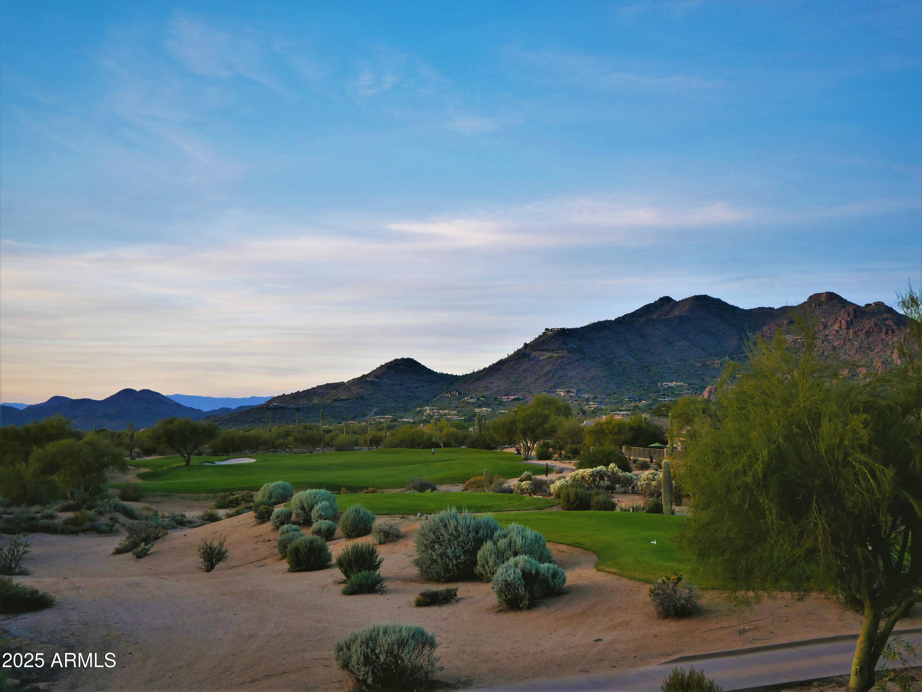 6867 East Crimson Sky Trail Scottsdale, AZ 85266 - Photo 91 of 97 a view of a street with a garden