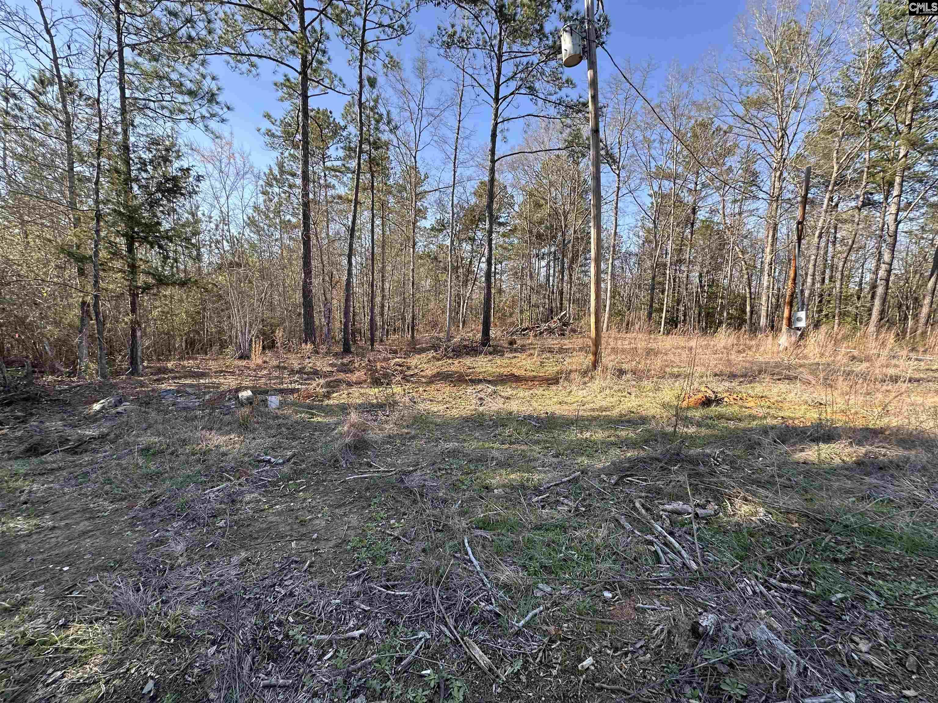 495 State Rd S-28-303 Ridgeway, SC 29130 - Photo 4 of 9