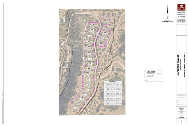 650 East 3600th Street South Mapleton, UT 84664 - Photo 1 of 7 Bench Lots Concept. Illustrating the conceptual layout of the property with lot tabulations and a site plan