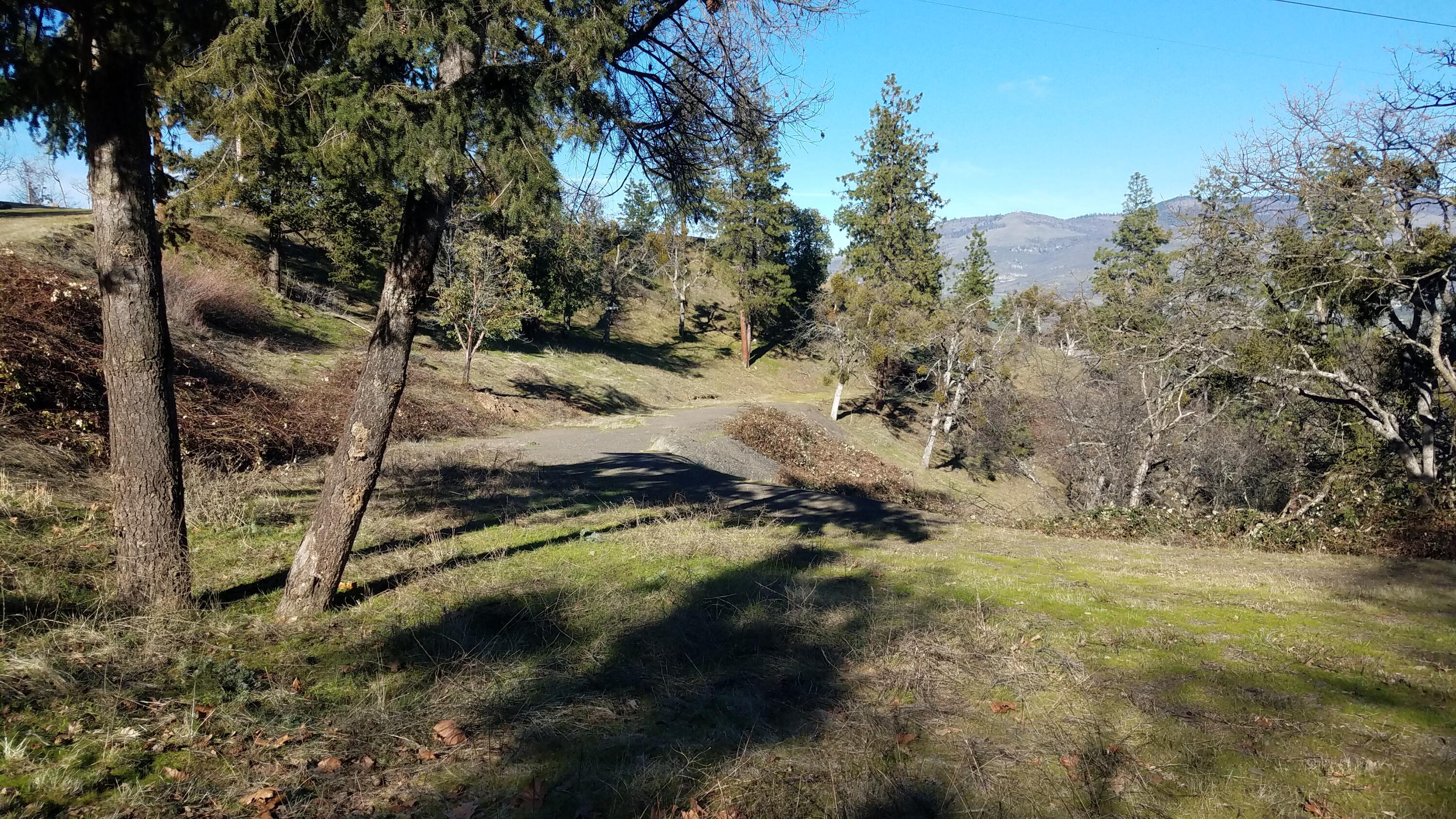 6318 Adams Road Talent, OR 97540 - Photo 31 of 39 20250226_151259