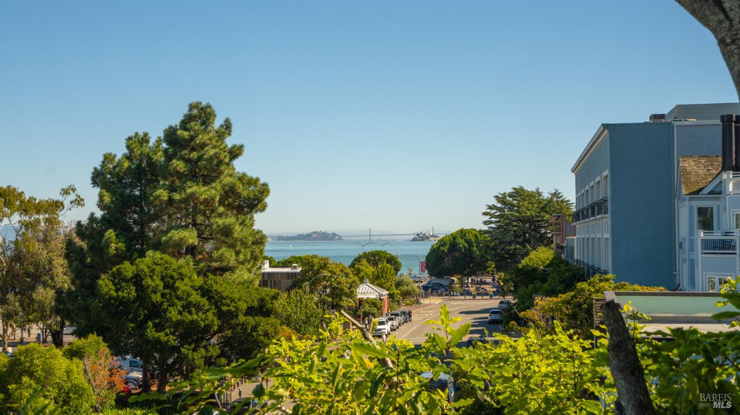 833 Bridgeway, Unit 5 Sausalito, CA 94965 - Photo 26 of 26 a view of a yard with plants and a large tree