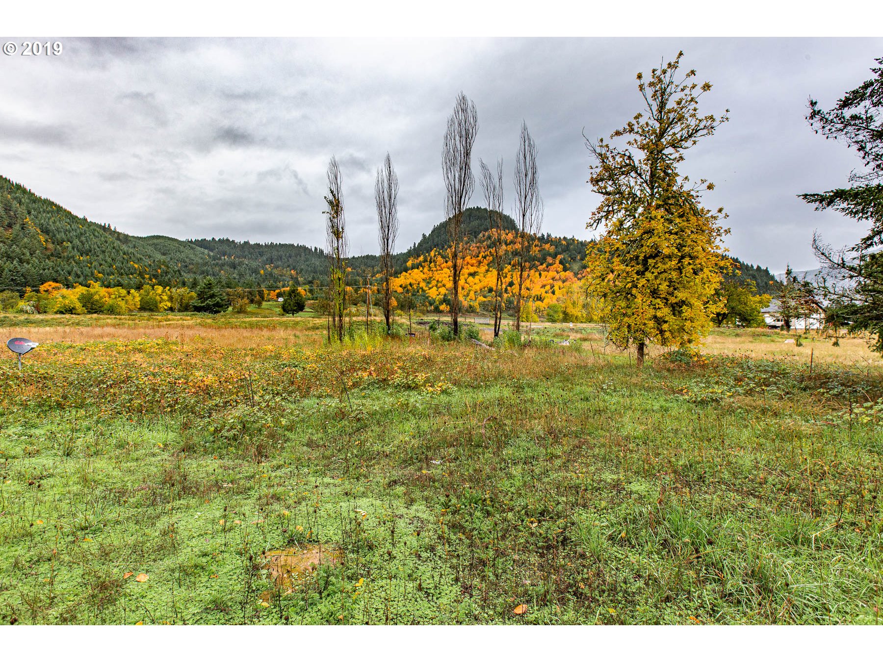 36969 Row River Road Cottage Grove, OR 97424 - Photo 11 of 12 Gallery Image 11