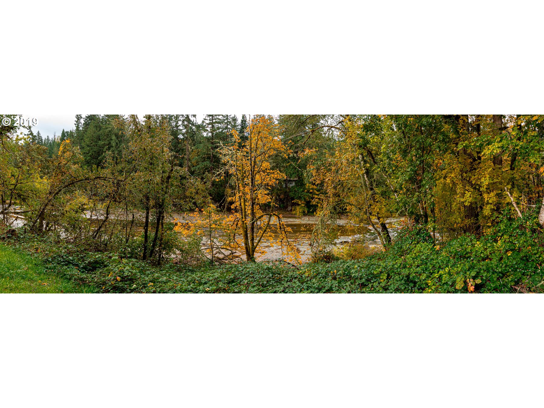 36969 Row River Road Cottage Grove, OR 97424 - Photo 12 of 12 Gallery Image 12
