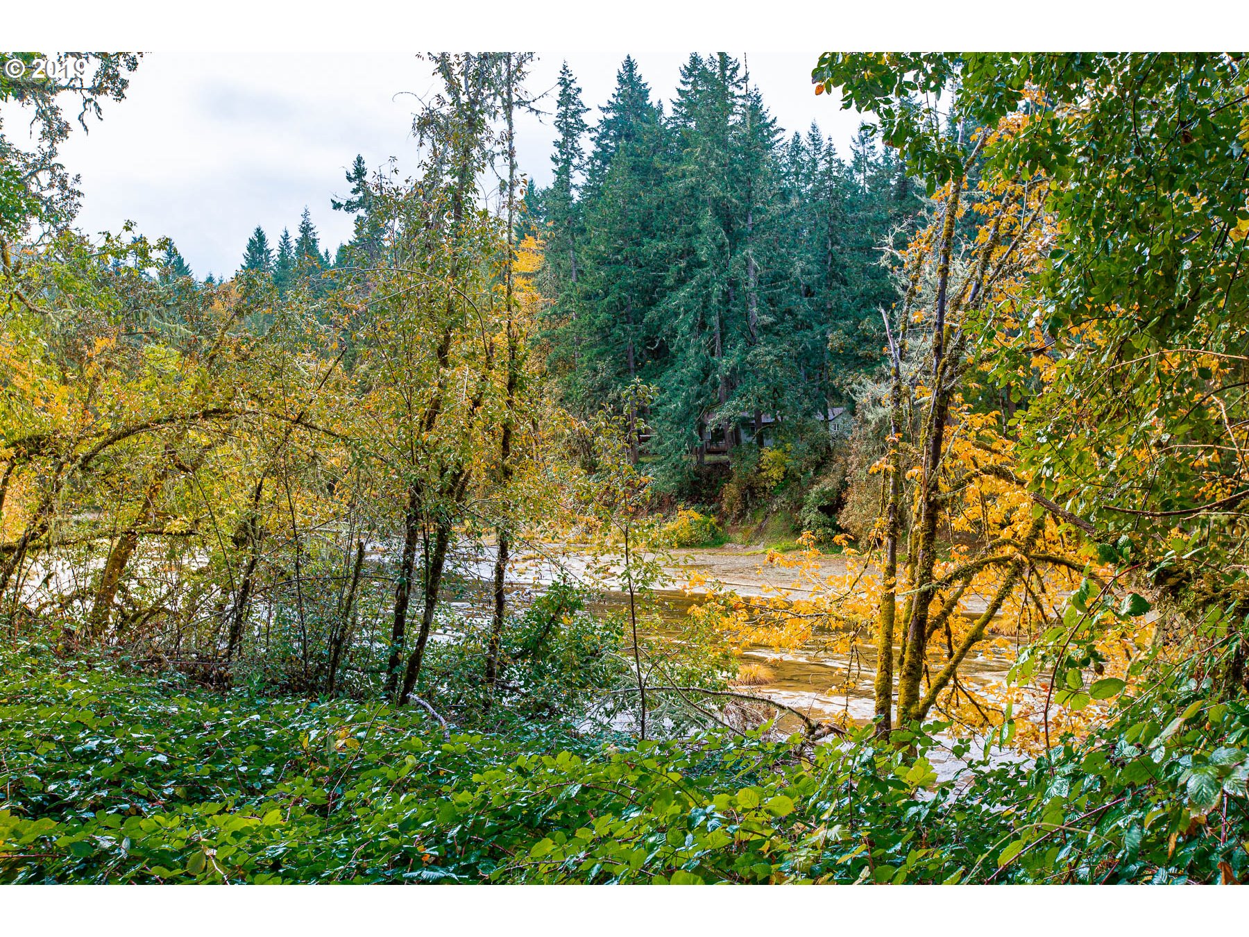 36969 Row River Road Cottage Grove, OR 97424 - Photo 6 of 12 Gallery Image 6