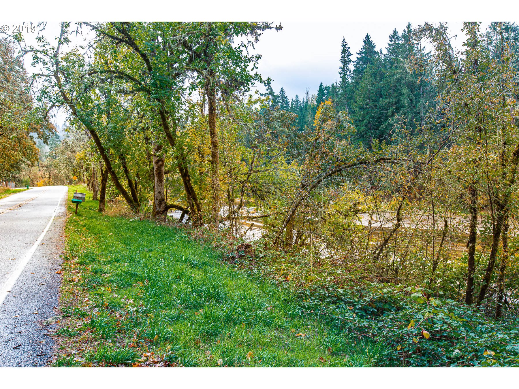 36969 Row River Road Cottage Grove, OR 97424 - Photo 7 of 12 Gallery Image 7