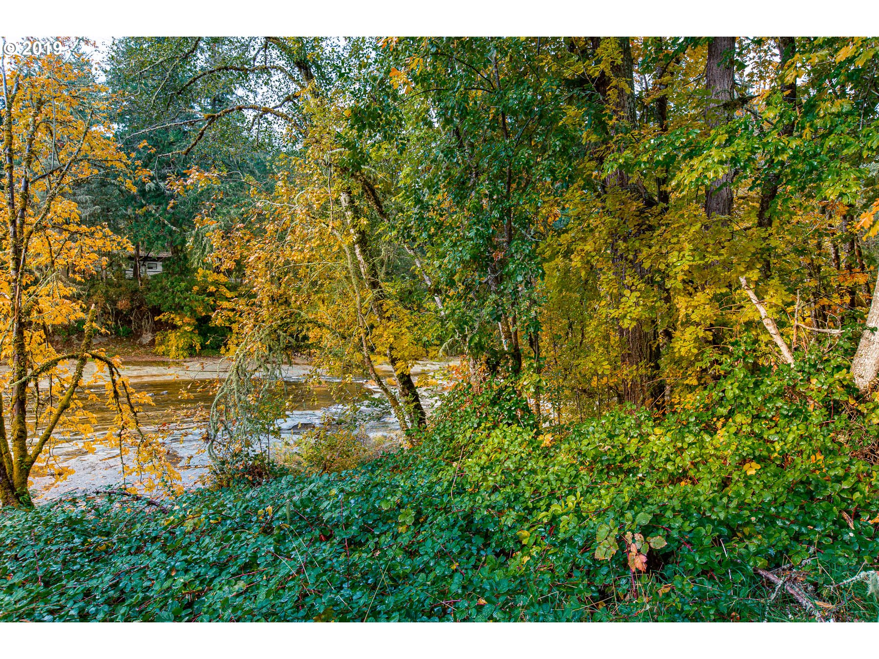36969 Row River Road Cottage Grove, OR 97424 - Photo 10 of 12 Gallery Image 10