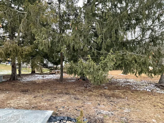 a view of a yard with plants and trees