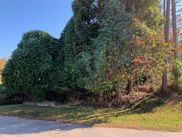 $77,500 | 169 Lakeshore Drive, Chesnee, SC 29323