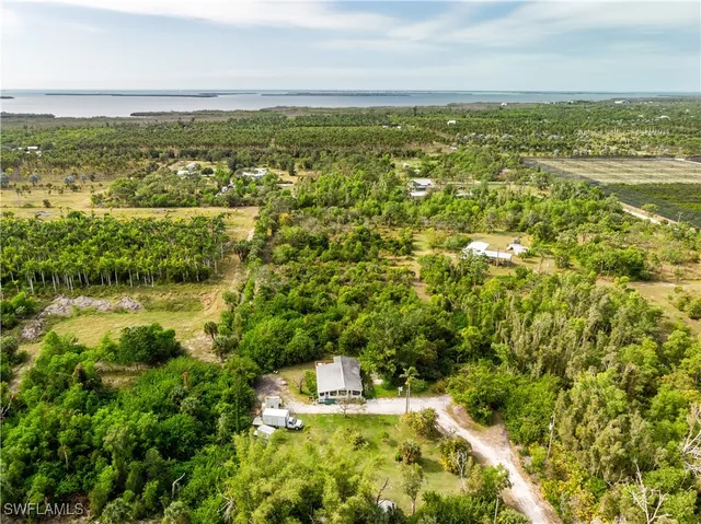 a view of a lake with a city