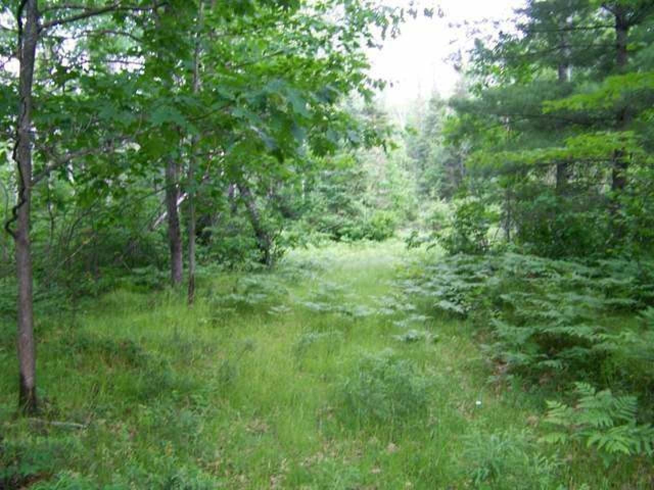 14.5-ac Roland Avenue Rhinelander, WI 54501 - Photo 9 of 13 Gallery Image 9
