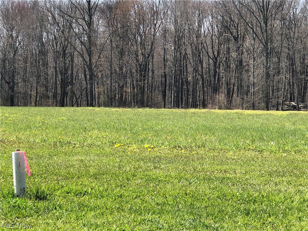 Fox Road Hiram, OH 44234 - Photo 2 of 5 Gallery Image 2