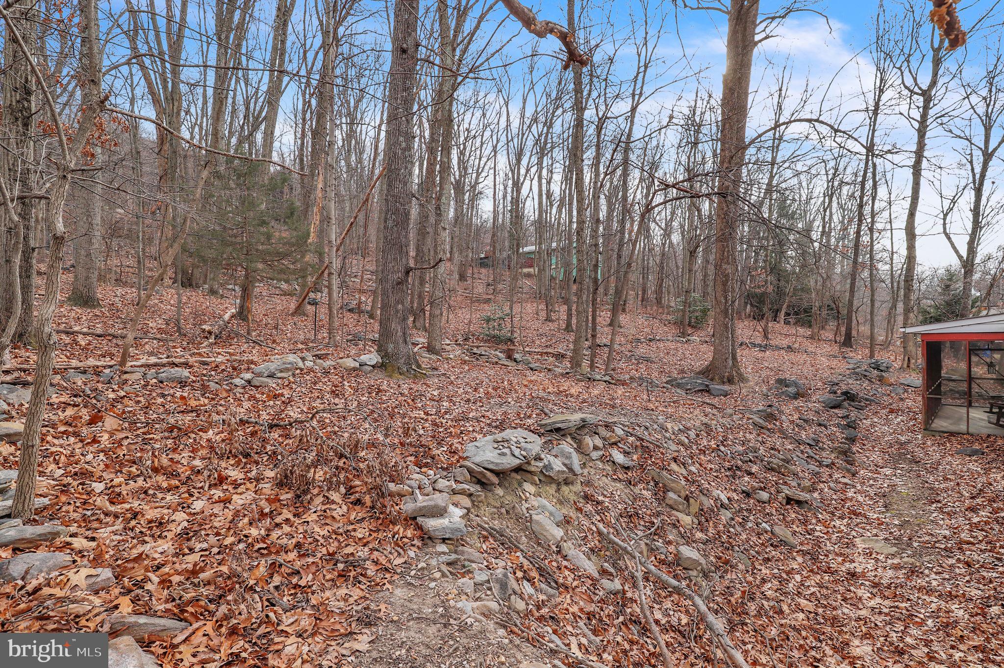 808 Stone Ridge Road Harpers Ferry, WV 25425 - Photo 25 of 29