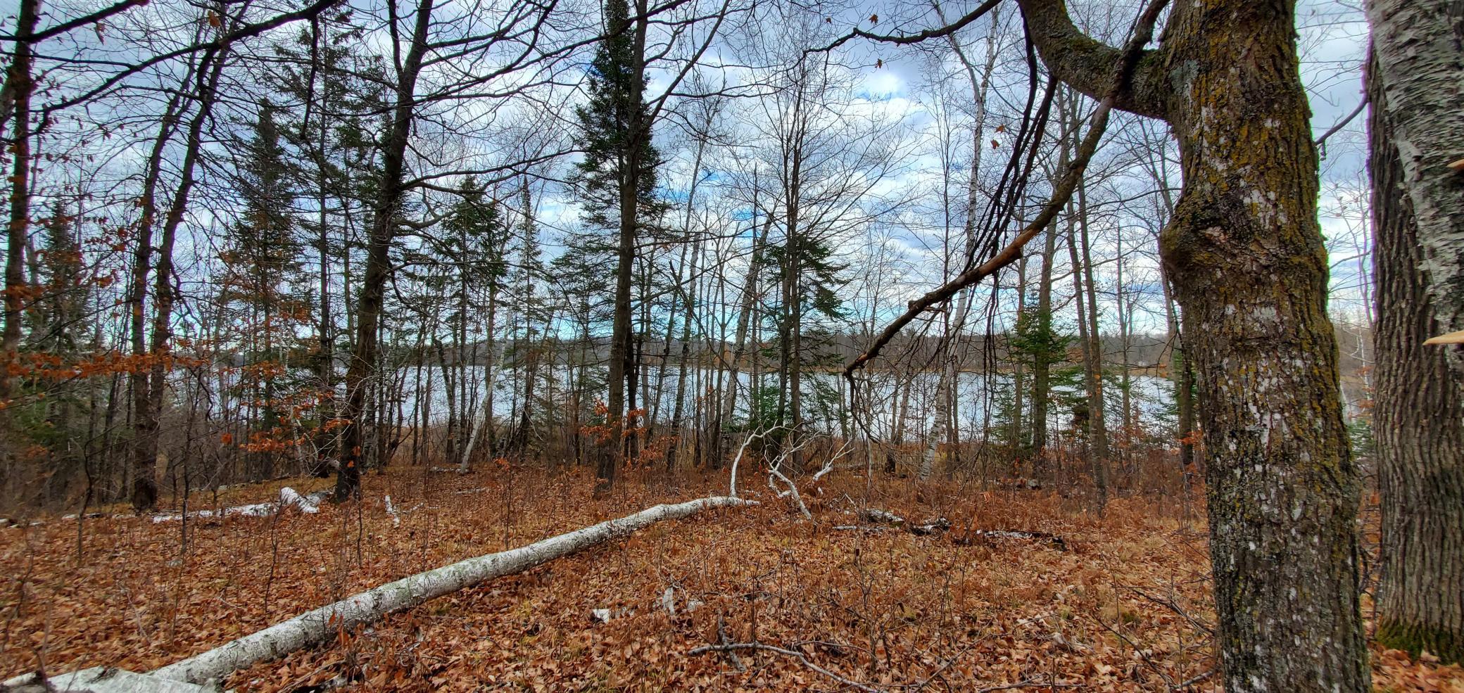 2 Ticonderoga Trail Hackensack, MN 56452 - Photo 4 of 10