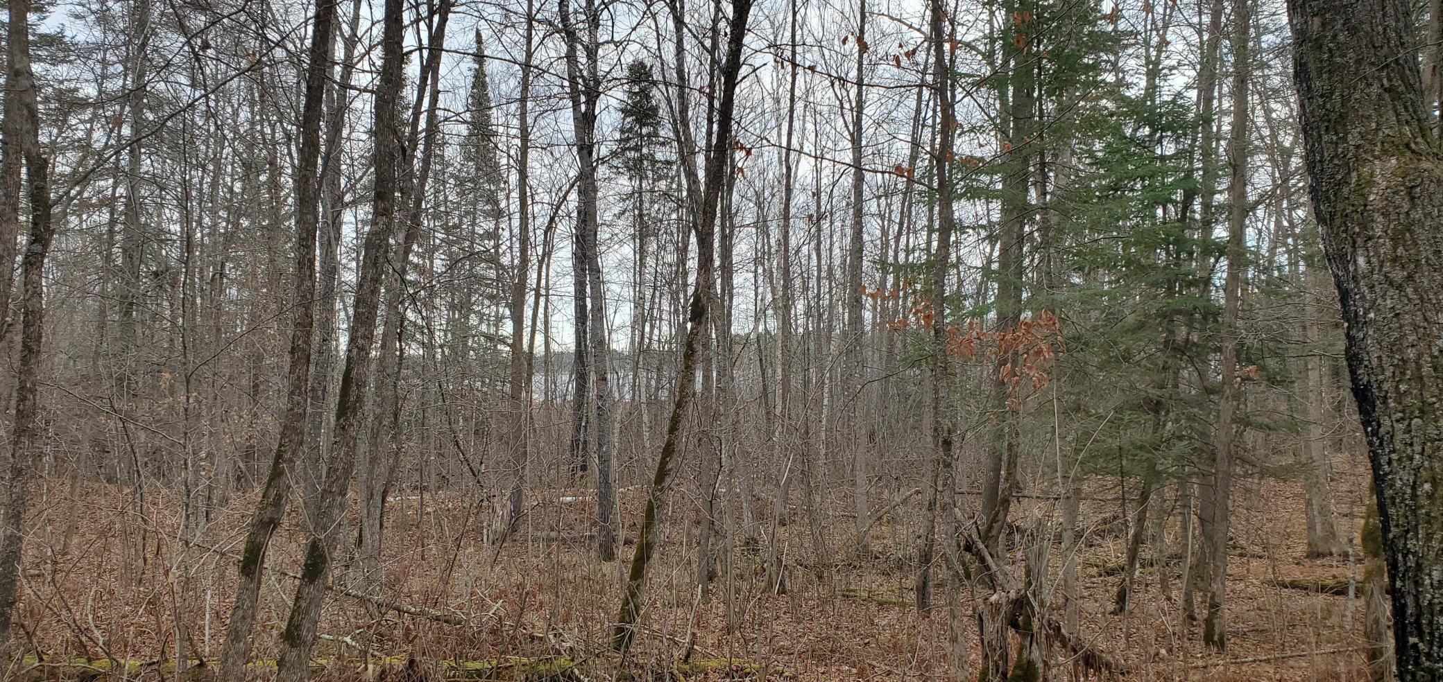 2 Ticonderoga Trail Hackensack, MN 56452 - Photo 5 of 10