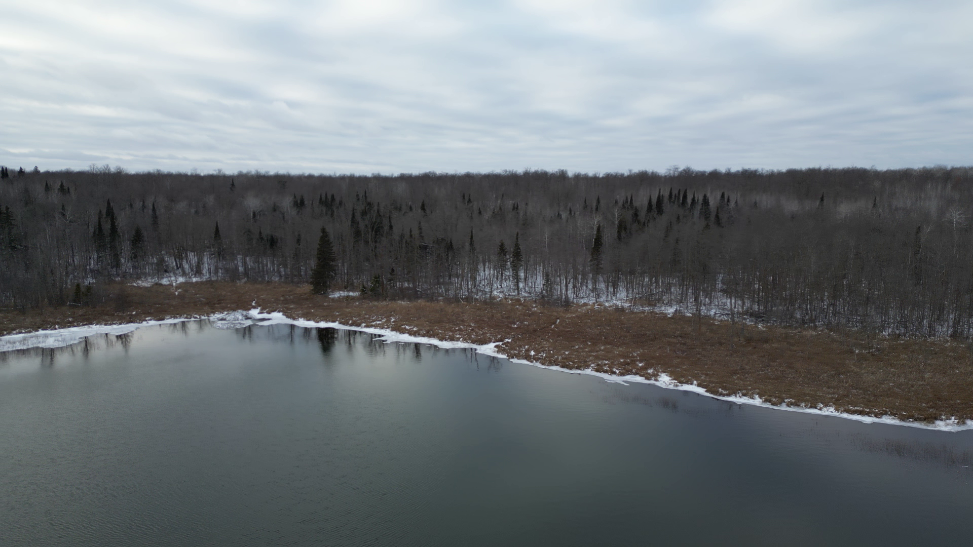 2 Ticonderoga Trail Hackensack, MN 56452 - Photo 9 of 10