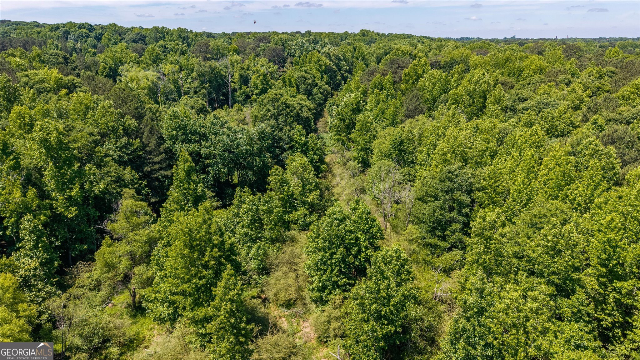 0 Gene Bell Road Northeast Monroe, GA 30655 - Photo 13 of 27