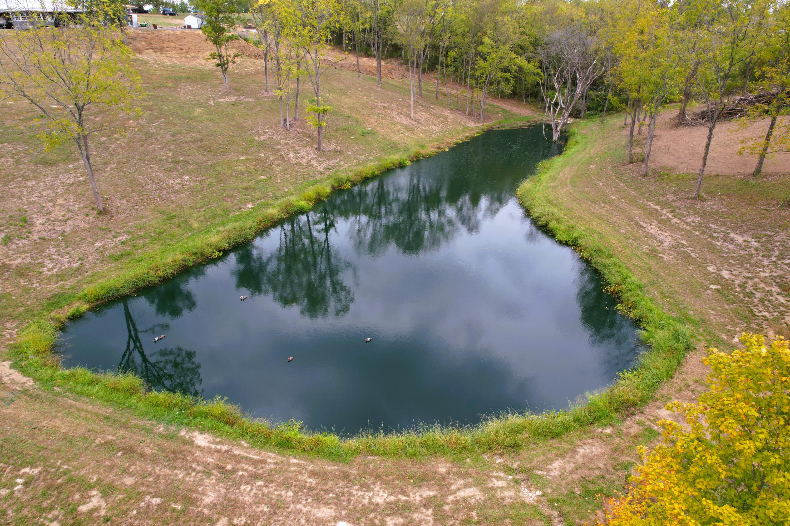 270 Meeks Road Dry Ridge, KY 41035 - Photo 3 of 49