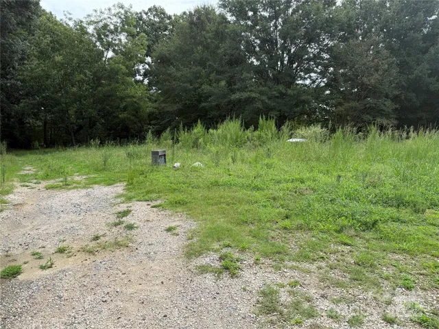 a backyard of a house with trees and plants