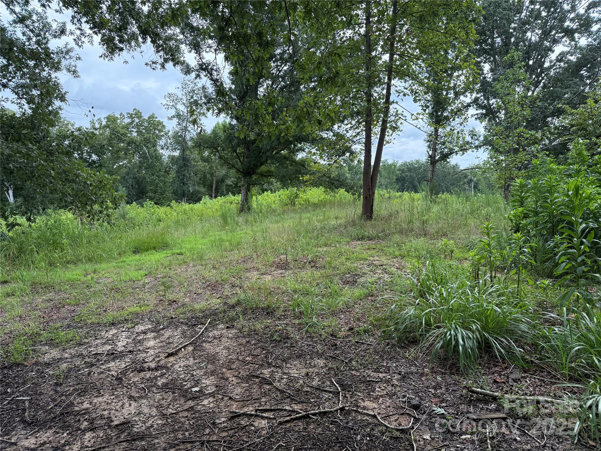 8188 Henry Harris Road, Unit 2 Fort Mill, SC 29707 - Photo 9 of 25 a big yard with lots of green space and deers