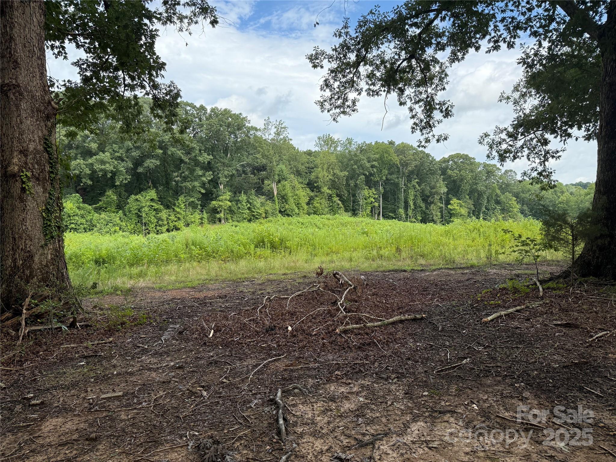 8188 Henry Harris Road, Unit 2 Fort Mill, SC 29707 - Photo 10 of 25 a view of outdoor space and yard