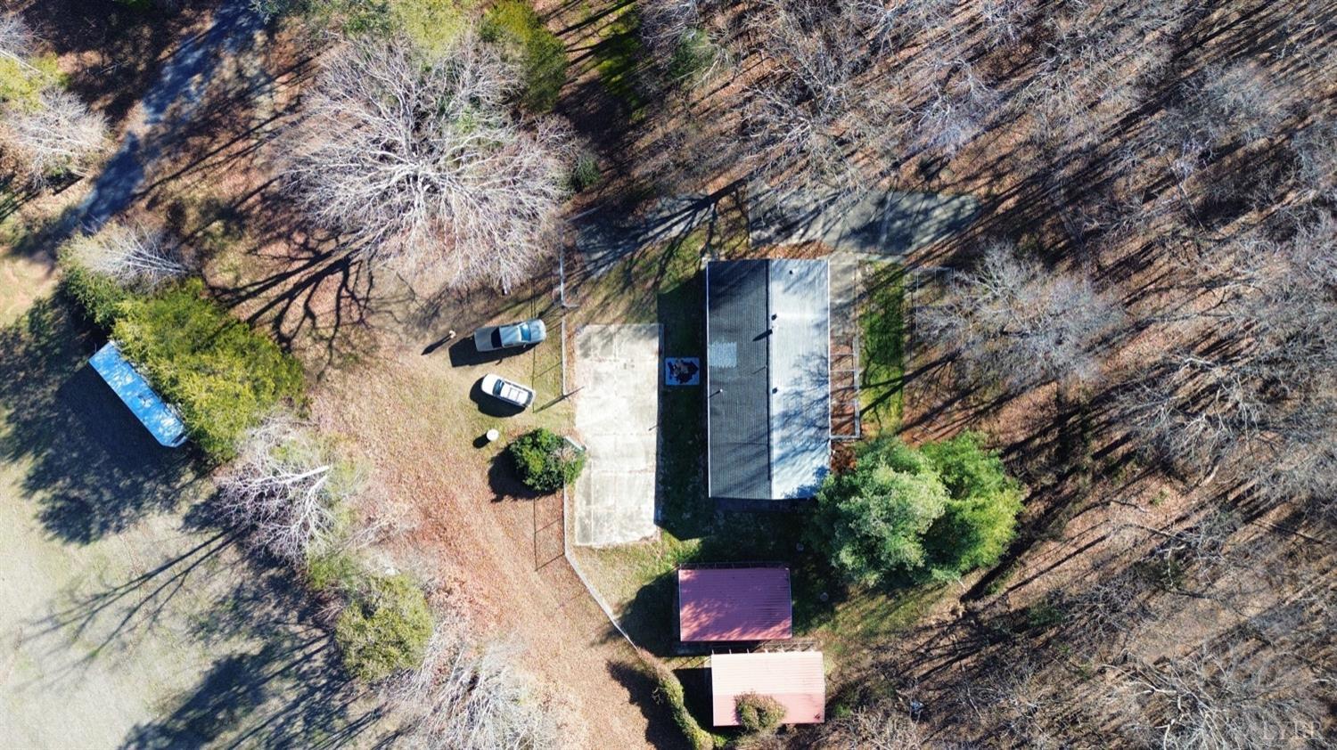 899 Buffalo Road Dillwyn, VA 23936 - Photo 10 of 10 a picture of trees