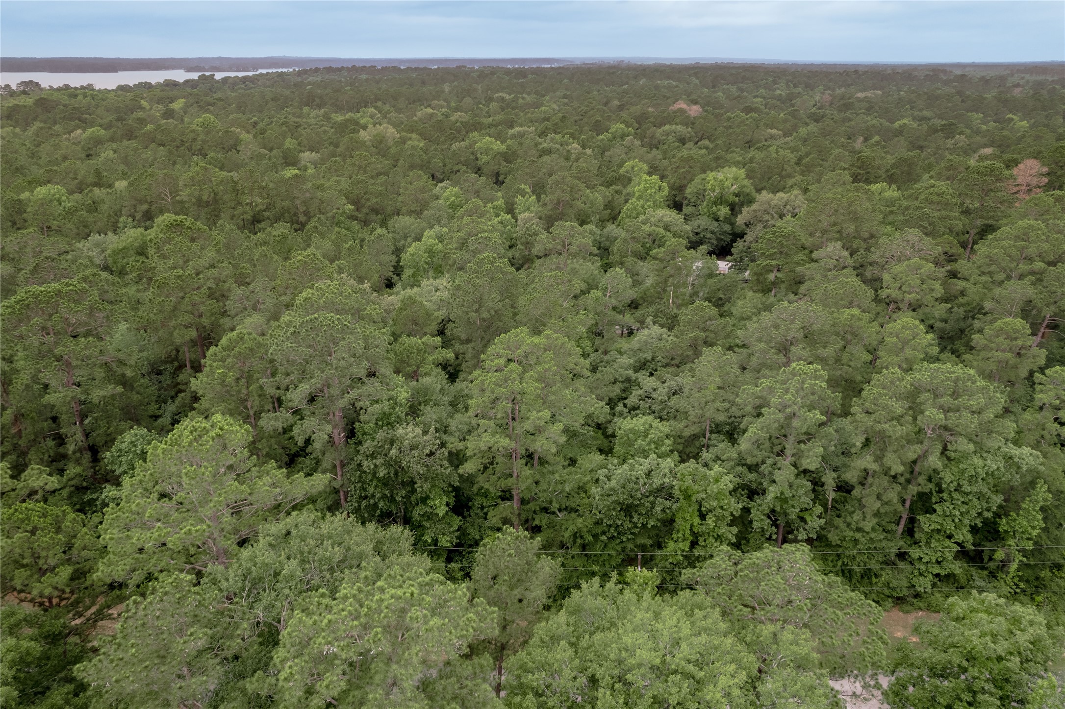 Lot 08 Oak Drive Trinity, TX 75862 - Photo 13 of 32