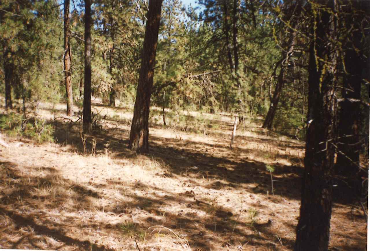 Xxx Xxx Nka Road Spokane, WA 99224 - Photo 3 of 4 Gallery Image 3