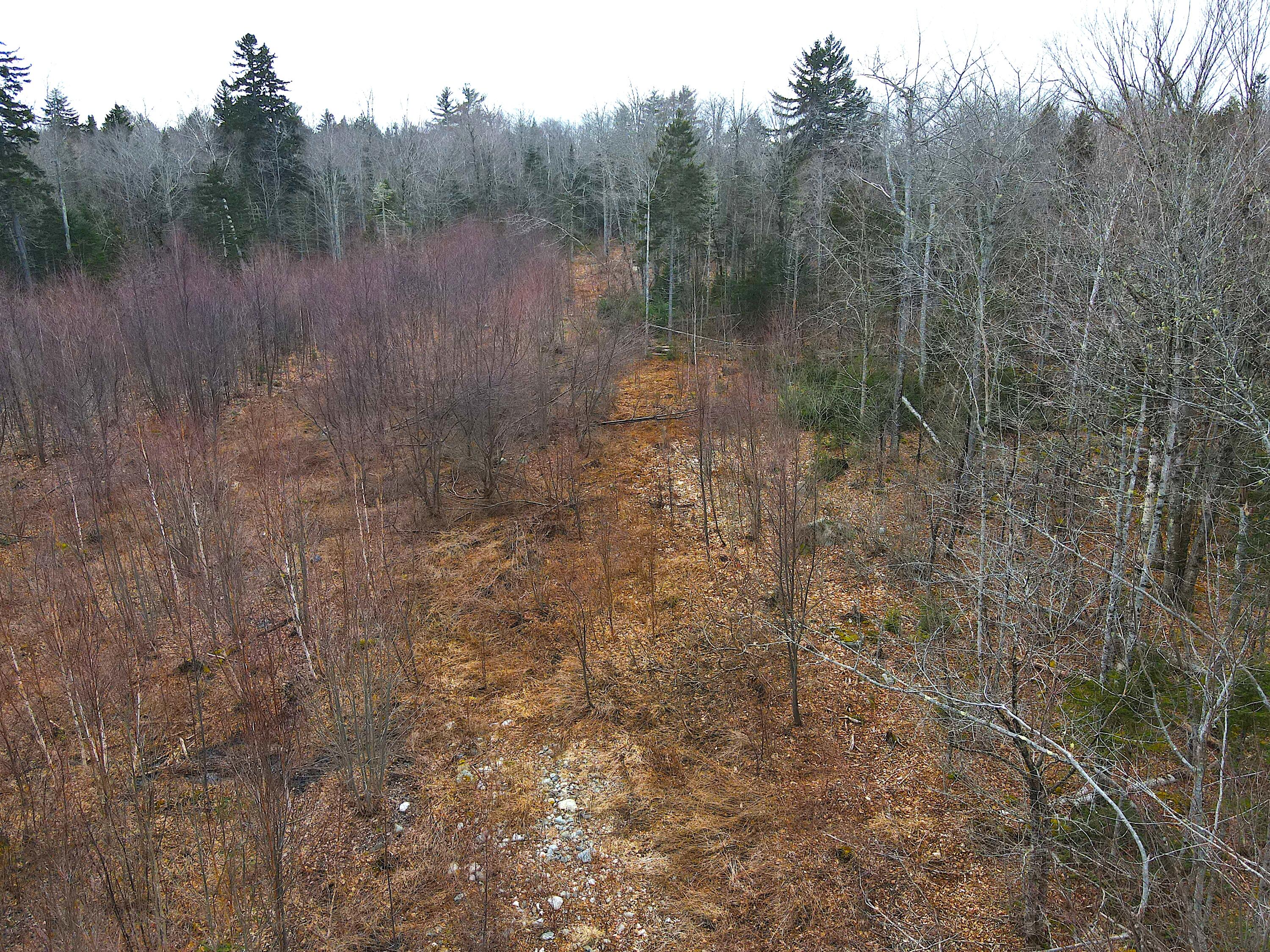 Lot#145 Bangor Road Stockton Springs, ME 04981 - Photo 15 of 17 2024-03-09 13.47.56