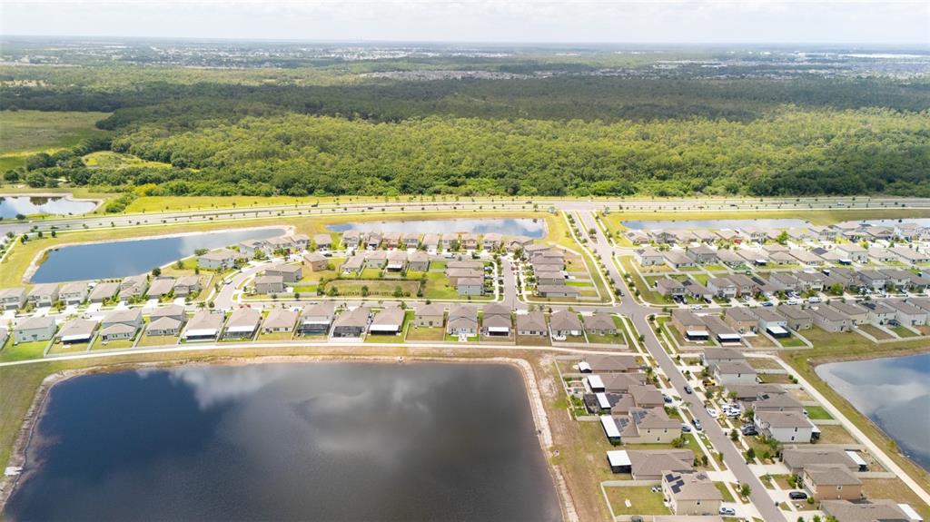 9831 Lemon Drop Loop Ruskin, FL 33573 - Photo 40 of 44