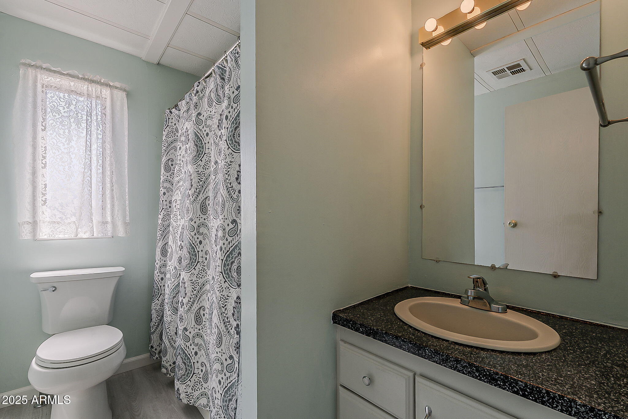 834 South Meridian Road, Unit 118 Apache Junction, AZ 85120 - Photo 33 of 45 a bathroom with a granite countertop sink toilet and a mirror