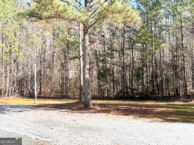 764 Hagans Mt Road Meansville, GA 30256 - Photo 28 of 32