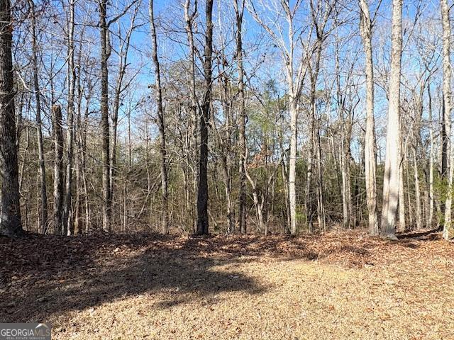 764 Hagans Mt Road Meansville, GA 30256 - Photo 29 of 32