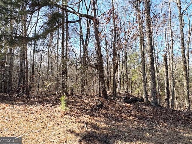 764 Hagans Mt Road Meansville, GA 30256 - Photo 30 of 32