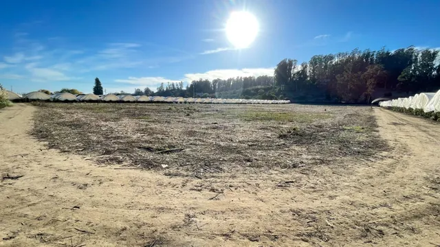 a view of outdoor space