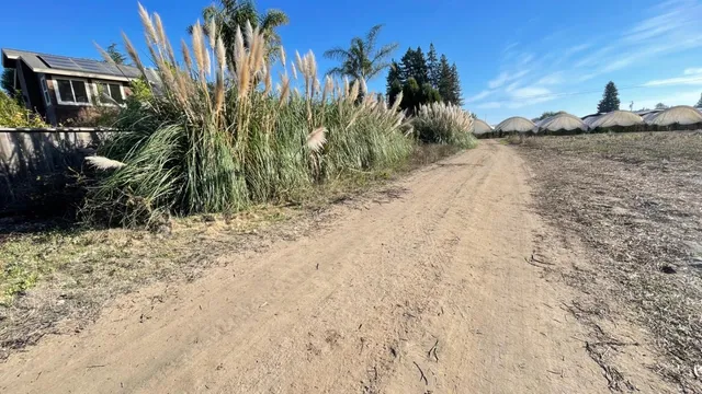 a view of a swimming pool with a yard and plants