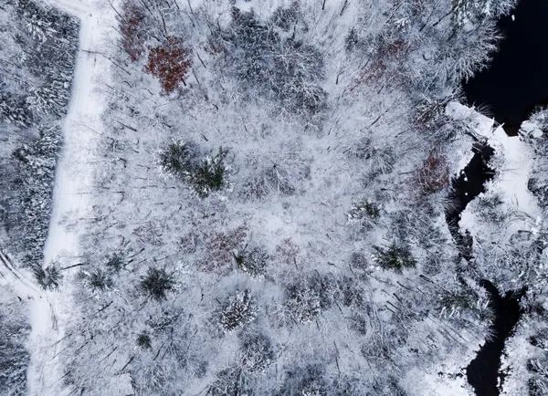 $72,000 | M035-l11-14 M035-l11-14 Ring Bolt Lane, Surry, ME 04684