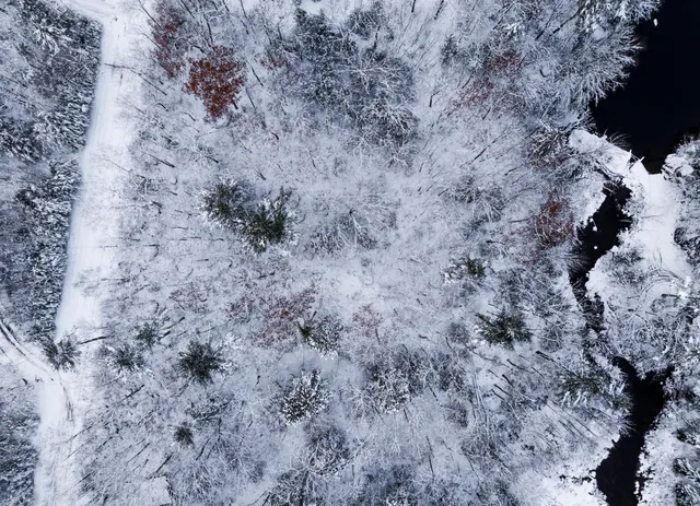 $72,000 | M035-l11-14 M035-l11-14 Ring Bolt Lane, Surry, ME 04684