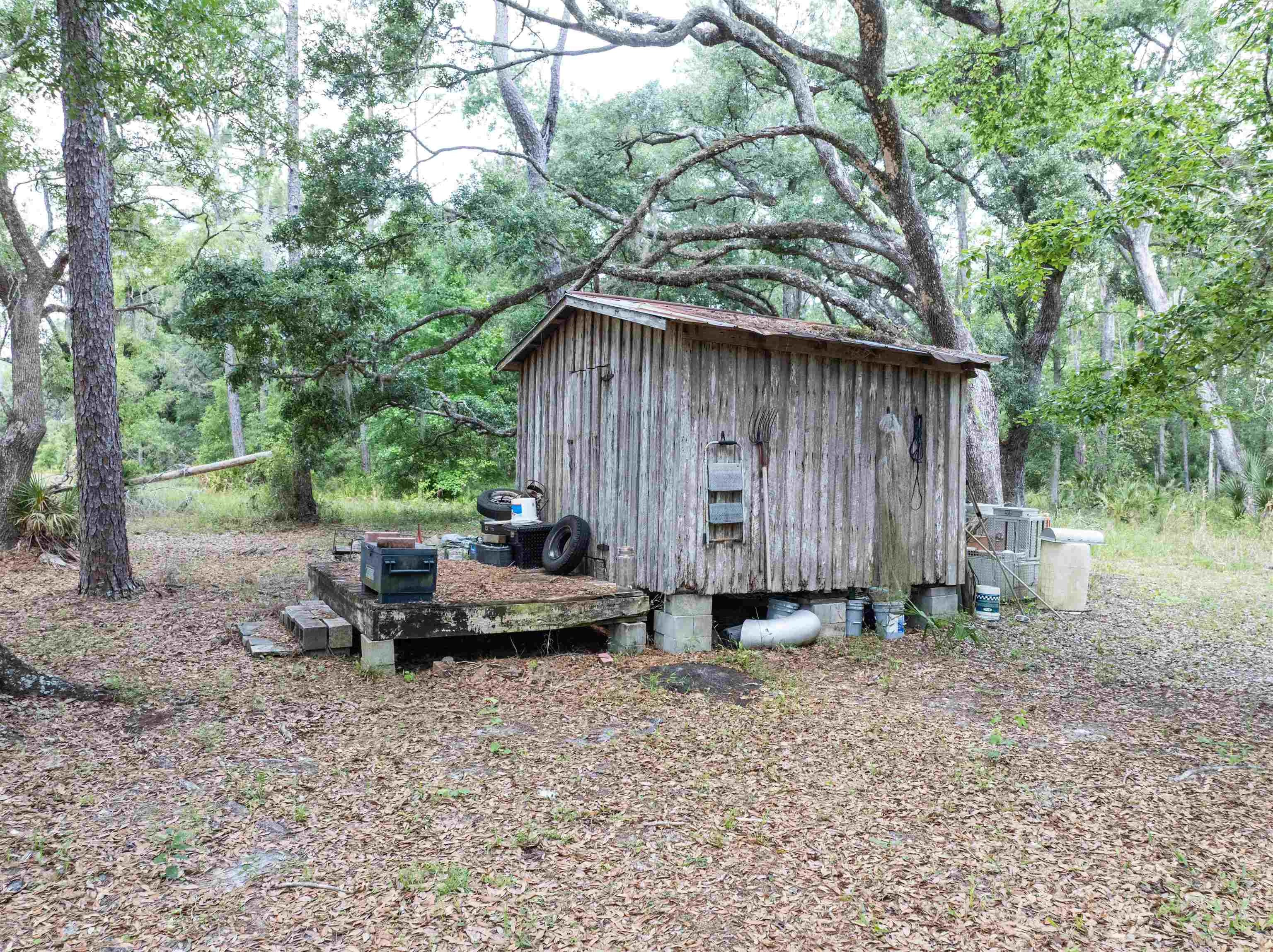 2878 West U.S 98 Perry, FL 32347 - Photo 51 of 64