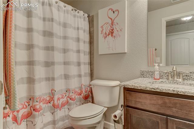 11378 Rill Point Colorado Springs, CO 80921 - Photo 29 of 32
