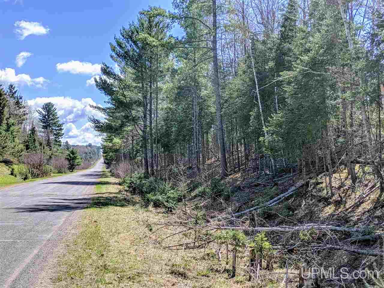 20-acres Ottawa Lake Road Iron River, MI 49935 - Photo 11 of 11