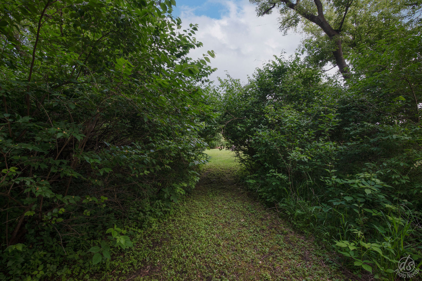 28671 Moose Range Road Sycamore, IL 60178 - Photo 62 of 69