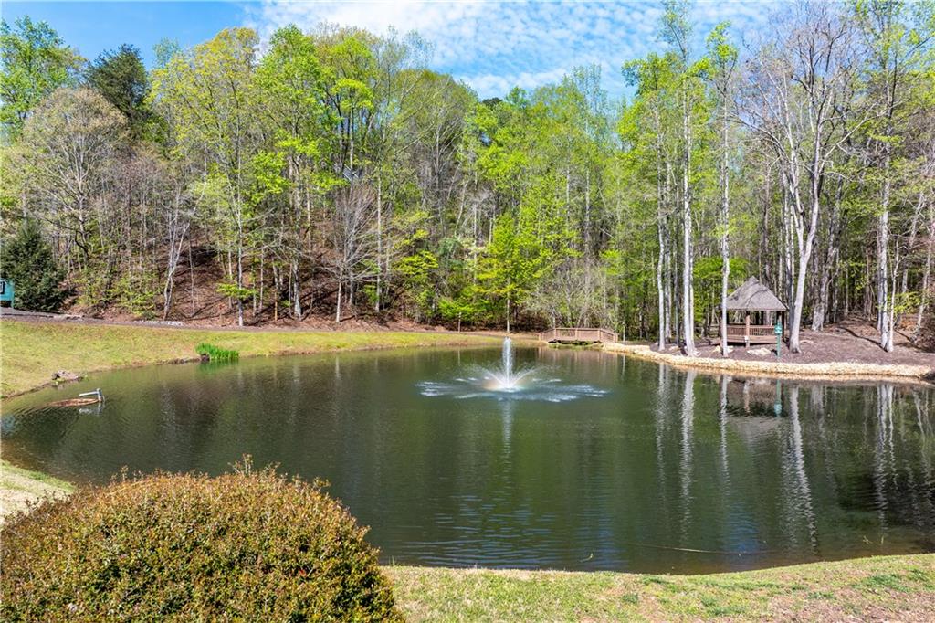 464 Stonehaven Court Jasper, GA 30143 - Photo 50 of 54