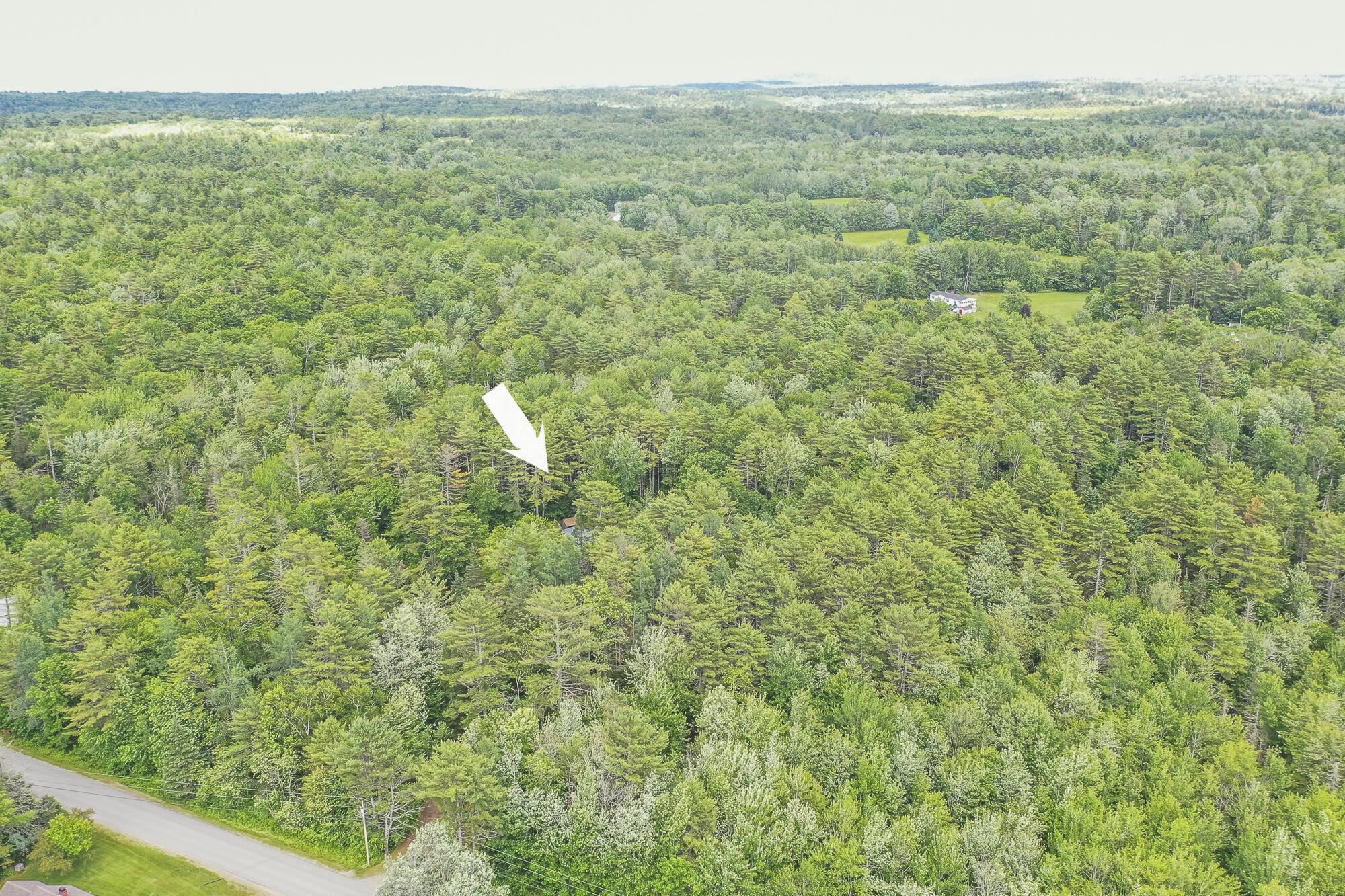 502 Curtis Road Swanville, ME 04915 - Photo 57 of 70 SearsportMaine-69