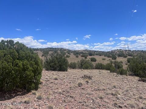 41 Indian Drive Concho, AZ 85924 - Photo 24 of 26 IMG_3690