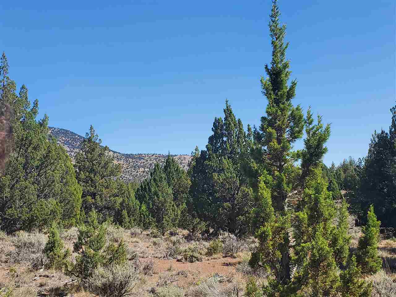 1 Unmarked Road Macdoel, CA 96058 - Photo 12 of 21 Gallery Image 12